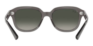 Ray-Ban ERIK RB 4398 unisex Grey Geometric Sunglasses