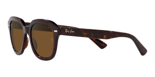 Ray-Ban ERIK RB 4398 unisex Brown Geometric Sunglasses