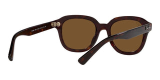 Ray-Ban ERIK RB 4398 unisex Brown Geometric Sunglasses