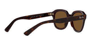 Ray-Ban ERIK RB 4398 unisex Brown Geometric Sunglasses