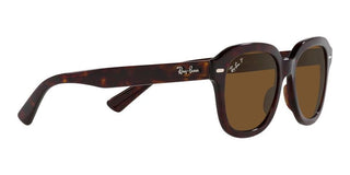 Ray-Ban ERIK RB 4398 unisex Brown Geometric Sunglasses