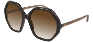 Chloé ESTHER CH0008S women Havana Oversize Sunglasses