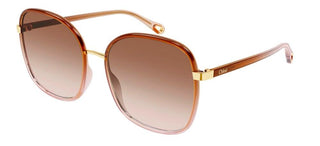 Chloé FRANKY CH0031S women Brown Oversize Sunglasses