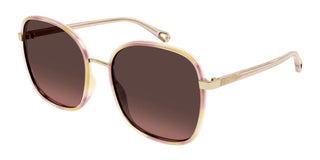 Chloé FRANKY CH0031S women Havana Oversize Sunglasses