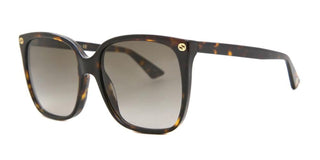 Gucci GG0022S women Havana Butterfly Sunglasses