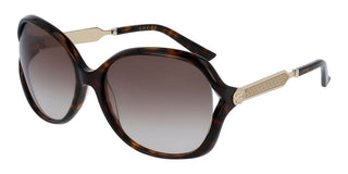 Gucci GG0076S women Havana Oversize Sunglasses