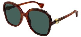 Gucci GG1178S women Havana Butterfly Sunglasses