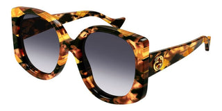 Gucci GG1257S women Havana Butterfly Sunglasses