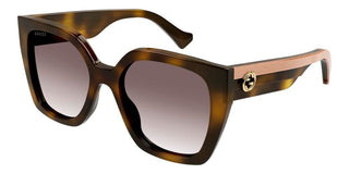 Gucci GG1300S women Havana Butterfly Sunglasses