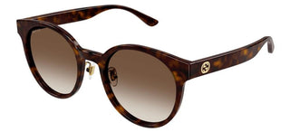 Gucci GG1339SK women Havana Round Sunglasses