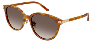 Gucci GG1452SK women Havana Round Sunglasses