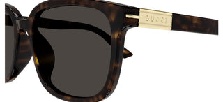 Gucci GG1505SK men Havana Squared Sunglasses