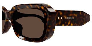 Gucci GG1531SK women Havana Squared Sunglasses