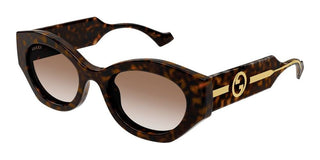 Gucci GG1553S women Havana Cat Eye Sunglasses