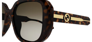 Gucci GG1557SK women Havana Oversize Sunglasses