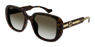 Gucci GG1557SK women Havana Oversize Sunglasses