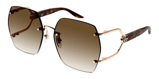 Gucci GG1562S women Havana Oversize Sunglasses