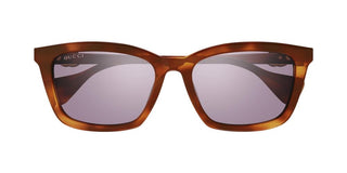 Gucci Gg1596sk Women Havana Squared Sunglasses