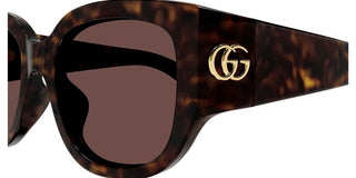 Gucci Gg1599sa Women Havana Round Sunglasses