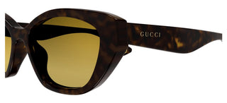 Gucci Gg1638s Women Havana Cat Eye Sunglasses