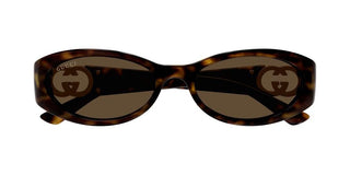 Gucci Gg1660s Women Havana Oval Sunglasses