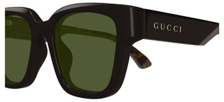 Gucci Gg1670sk Men Havana Butterfly Sunglasses