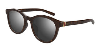 Gucci Gg1674sk Men Brown Pantos Sunglasses