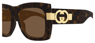 Gucci Gg1688s Women Havana Butterfly Sunglasses