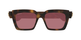 Gucci Gg1689s Women Havana Butterfly Sunglasses