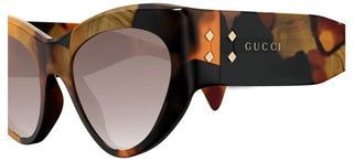 Gucci Gg1704s Women Havana Cat Eye Sunglasses