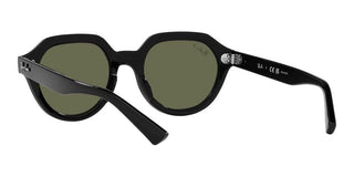 Ray-Ban GINA RB 4399 unisex Black Geometric Sunglasses