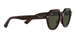 Ray-Ban GINA RB 4399 unisex Brown Geometric Sunglasses