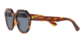 Ray-Ban GINA RB 4399 unisex Brown Geometric Sunglasses