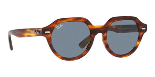 Ray-Ban GINA RB 4399 unisex Brown Geometric Sunglasses