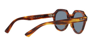 Ray-Ban GINA RB 4399 unisex Brown Geometric Sunglasses