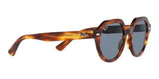 Ray-Ban GINA RB 4399 unisex Brown Geometric Sunglasses