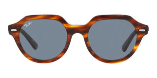 Ray-Ban GINA RB 4399 unisex Brown Geometric Sunglasses