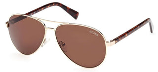 Guess GU8279 unisex Havana Pilot Sunglasses