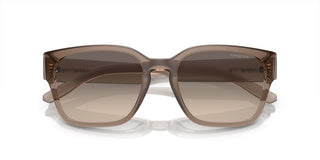 Arnette HAMIE AN 4325 men Brown Squared Sunglasses