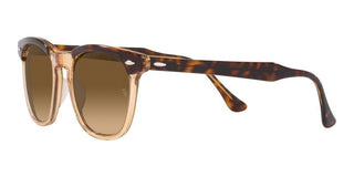 Ray-Ban HAWKEYE RB 2298 unisex Havana Squared Sunglasses