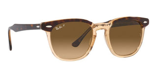 Ray-Ban HAWKEYE RB 2298 unisex Havana Squared Sunglasses