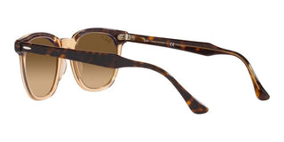 Ray-Ban HAWKEYE RB 2298 unisex Havana Squared Sunglasses