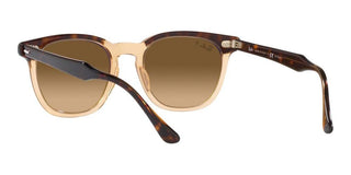 Ray-Ban HAWKEYE RB 2298 unisex Havana Squared Sunglasses