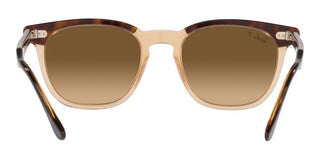 Ray-Ban HAWKEYE RB 2298 unisex Havana Squared Sunglasses