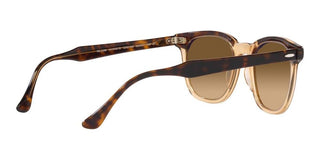 Ray-Ban HAWKEYE RB 2298 unisex Havana Squared Sunglasses