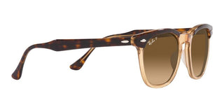 Ray-Ban HAWKEYE RB 2298 unisex Havana Squared Sunglasses