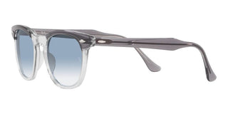 Ray-Ban HAWKEYE RB 2298 unisex Grey Squared Sunglasses