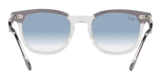 Ray-Ban HAWKEYE RB 2298 unisex Grey Squared Sunglasses