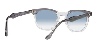 Ray-Ban HAWKEYE RB 2298 unisex Grey Squared Sunglasses