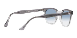 Ray-Ban HAWKEYE RB 2298 unisex Grey Squared Sunglasses